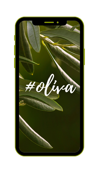 Oliva